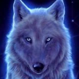 🇦🇿 B I R A 🇹🇷