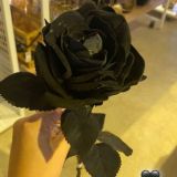 кусочек счастья