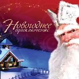 НОВОГОДНЯЯ ФРАНШИЗА 2025