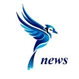 SoykaSoft | оцифровка бизнеса для селлеров 🐦