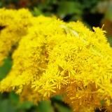 Права и Право