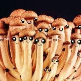 ЛОшаША Ебесный и его слабоумное хомьё 18+