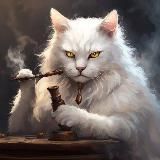 Белее белого 🐈⬛Мемы