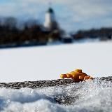 ˏˋ🥨´ˎ˗ ׄᧃִɬׁׄ𐐼нцບׄя Мꪮꪒִꪒִִບׄ ఎ . ˟