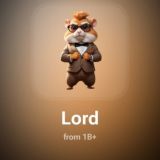 Hamster Kombat Daily tips