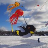 С ветром! Кайт-болталка