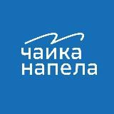 Чайка напела | медиа о Владивостоке