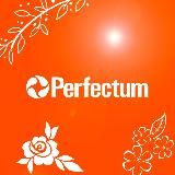 Perfectum