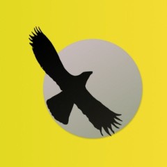 БЕСЕДА МОД "СВОБОДА" 🦅