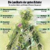 Eigenverantwortlich gesunden 🌿🙏💚
