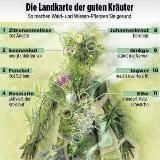 Eigenverantwortlich gesunden 🌿🙏💚 vom Objekt zum Subjekt durch Eigenverantwortung 🙏🌿💚