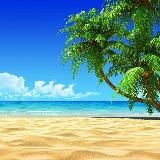 IGRA - делай от 2000руб в день!🌴🌊