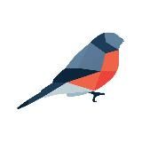 берегите птиц