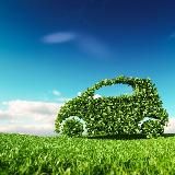 GO GREEN