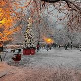 Защита сквера на ул. Марии Поливановой