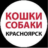 Кошки, собаки и другие в Красноярске.