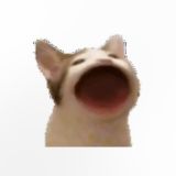 daisy’s diary chat🎧