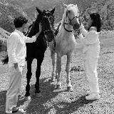 🇮🇷 IRONILA_50 🇮🇷