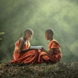 Чат. Школа без страха. Частные, альтернативные и семейные школы.