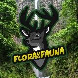 Flora🌿& Fauna🦘