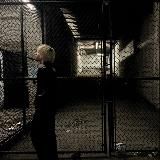 mywaybeatz |loop archive|