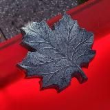 Calgary Today Калгари канал