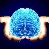 Логічні Задачки 🧠