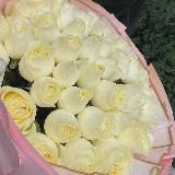 𝙼𝚊𝚛𝚝𝚊𝚗𝚡𝚘