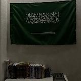 записки мискина.