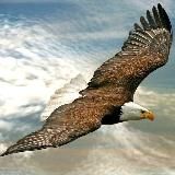 💥Aufklärer2024💥