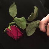 𝐑 𝐔 𝐙 𝐙 𝐍 𝐎 ོ | нашиды