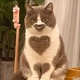 Сладкий Ручеек 😆