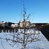 Плодовый сад @p_l_o_d_sad