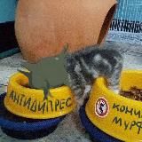 vsinсанич (АРХИВ)