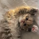 в вп обсуждают