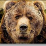 You trust - обучение трейдингу.