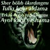 💗Q💗a💗d💗r💗i💗 💗v💗a💗 💗q💗a💗d💗d💗i💗 💗b💗a💗l💗a💗n💗d💗l💗a💗r💗.💗.💗.💗 💗