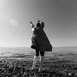 Журавлиные истории