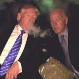 Литер майонезу