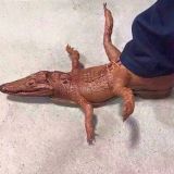 подростки Турции🇹🇷