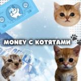 money с котятами 🐾 chat