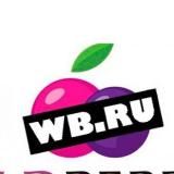 Товары за отзывы бесплатно выкупы wildberries