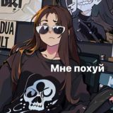 не гони беса ему похуй