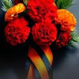 🇷🇺Новый Оскол | Чернянка онлайн "НОЧ online"🇷🇺