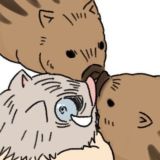 Настолько всрато, что цепляет Chat