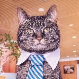 Мемы про работу