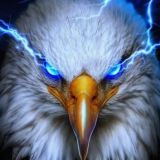 Аскеров Магазин Чат