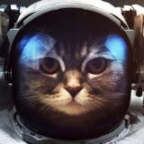 Key Collector NEWS Chat