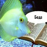 ЗАГОЛОВКИ