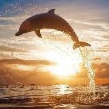 ПРИРОДА | NATURE